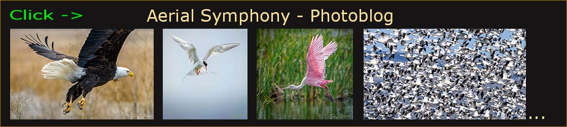 Sven Durland Photography photoblog header
