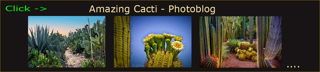 Sven Durland blog header