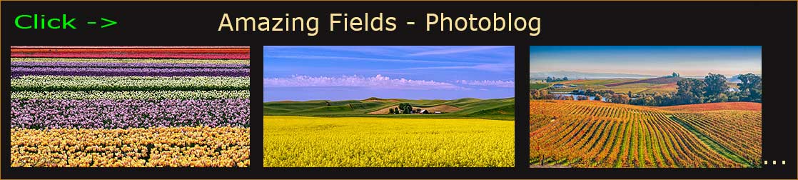 Fields header