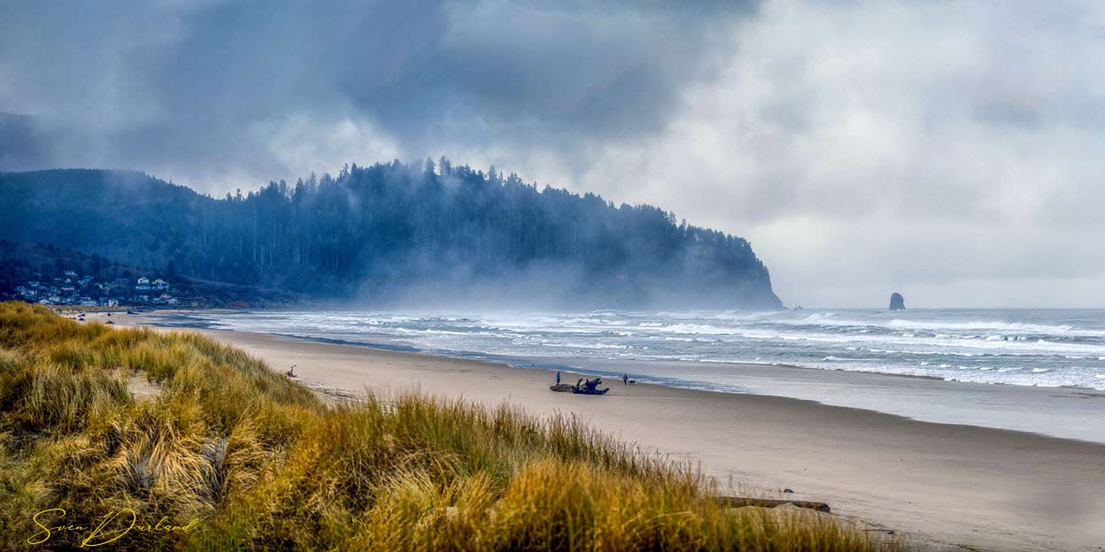 Oregon Coast view with fog