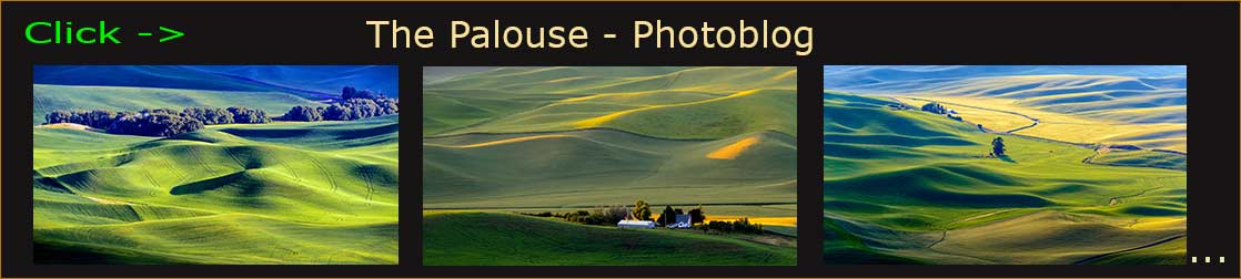 Blog header