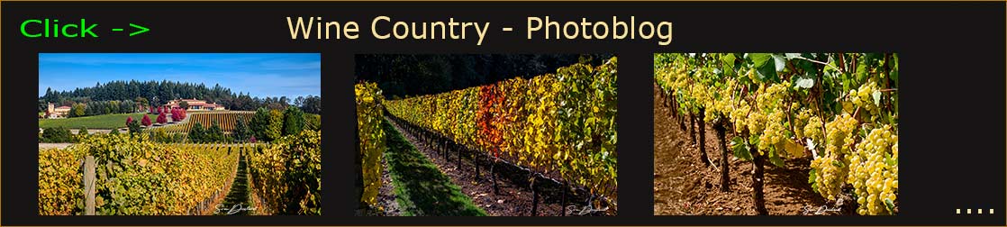 PhotoBlog header