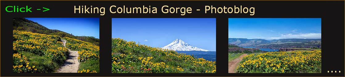 Blog header
