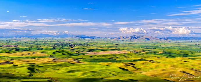 The Palouse panorama