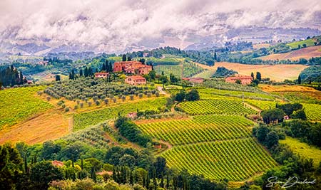 Tuscany vineyards